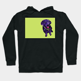 Black Lab over Lime Green Hoodie